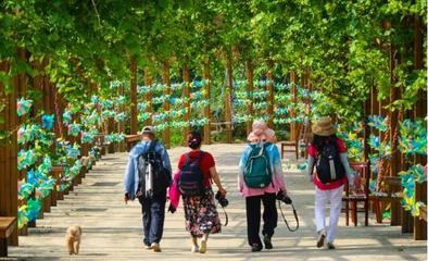 山泉觅清凉，隐匿在大山深处的最美齐长城百果园休闲观光活动