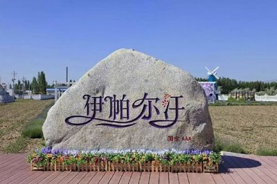 走进中国著名工厂 探索伊利与片仔癀的工业魅力与休闲观光