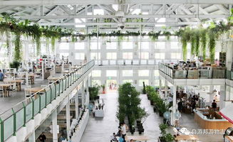 宜兰一日游 在趣味与知识中徜徉的观光工厂之旅