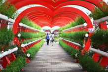 好嗨哟！农业嘉年华五一火爆开局，引爆休闲观光新风尚